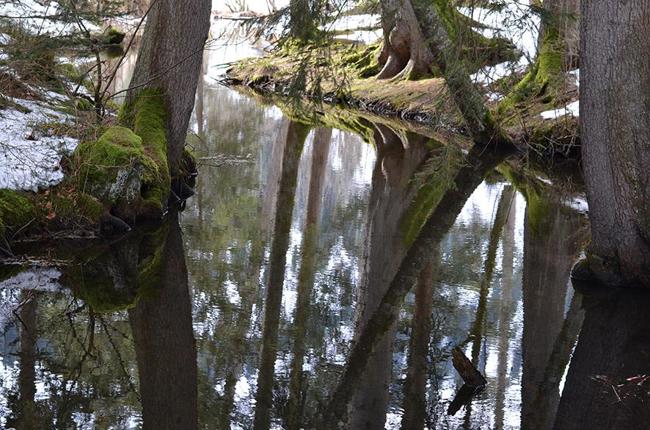 Klein Klein Kraemer 3 Wasser