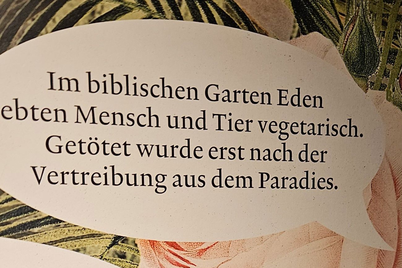 Eine Vegetarierin freute sich über dieses neue Argument, dass sie künftig anbringen kann.