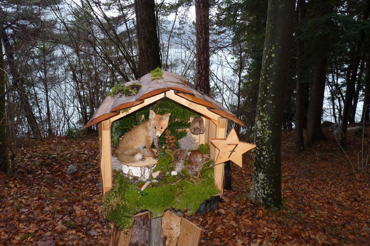 Jedes Hüttchen beherbergt ein anderes Thema – vor allem sind es ausgestopfte Tiere in einer möglichst naturnahen Umgebung.
Bild Irène Hunold Straub