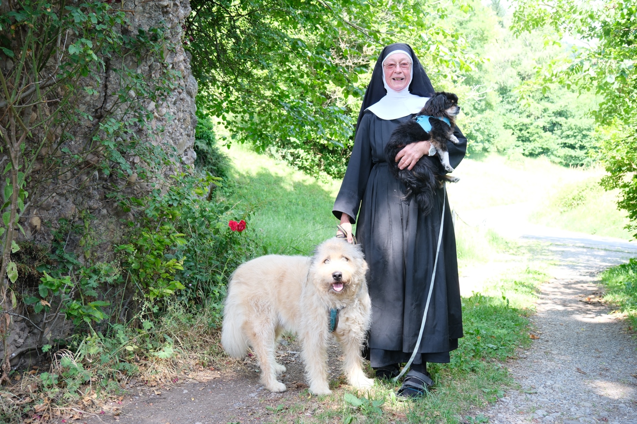 Die 68-jährige Schwester Theresia mit zwei Hunden, die auf dem Gnadenhof betreut werden. Foto: Reinhold Hönle