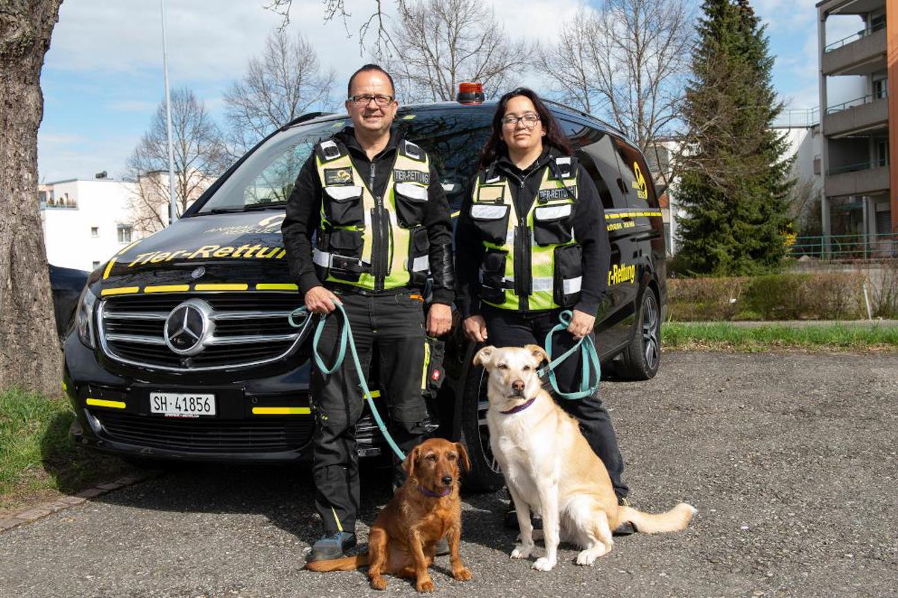 Die Tierrettung mit pelziger Verstärkung. | Peter Leutert