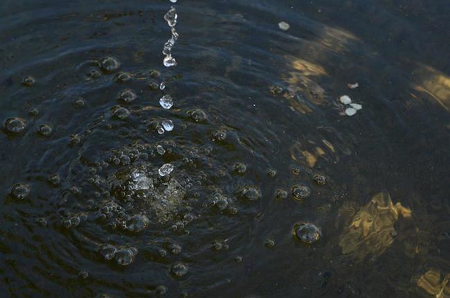 Klein Klein Schwendener Aufgewuhlt