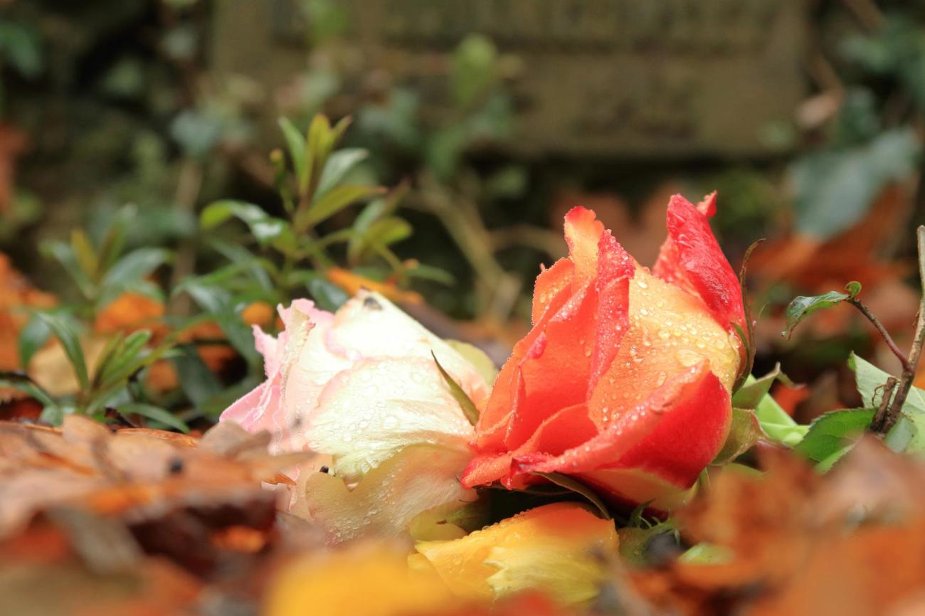 Ende und Neuanfang: Mit dem Ewigkeitssonntag am 25. November 2018 endet das Kirchenjahr. (Bild: fotolia.com)