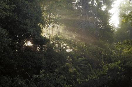 Vollen Einsatz für einen würdevollen Tod