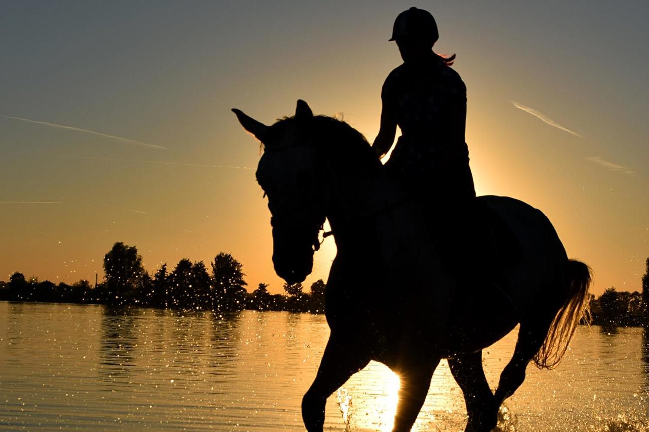 Erste Seligpreisung: Glücklich sind die, die erkennen, dass sie Gott brauchen, denn ihnen wir das Himmelreich geschenkt. Mt 5.3