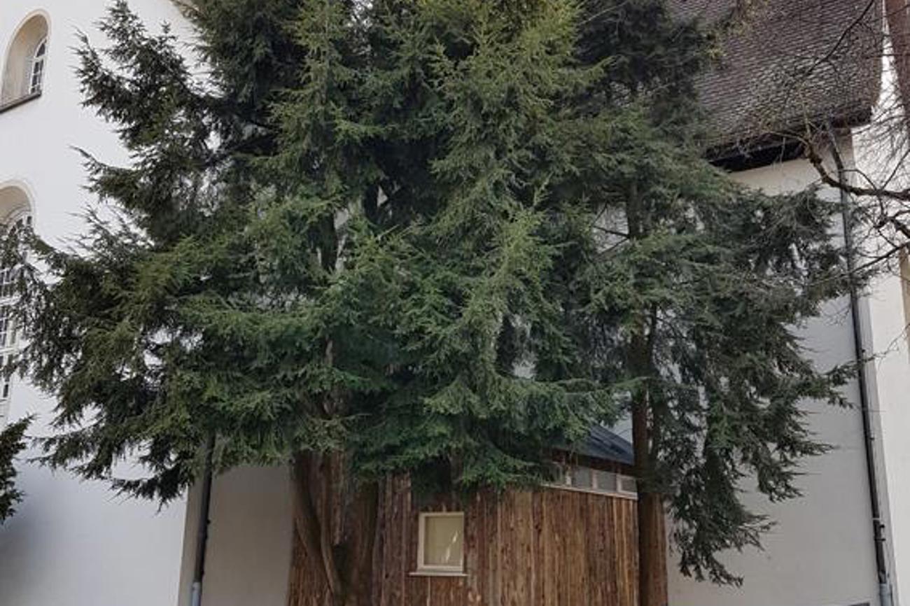 Wiborada-Projekt: In Einsamkeit, Abgeschiedenheit und Gebet Freiheit finden, wie einst Wiborada.
Bild: zVg.