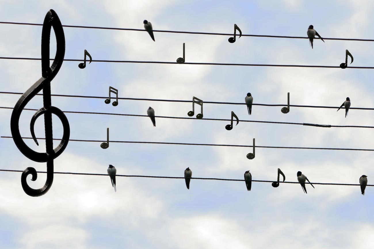 Chorauftritte bleiben untersagt, aber das gemeinsame Singen in der Kirche ist wieder möglich. (Bild: pixabay.com)