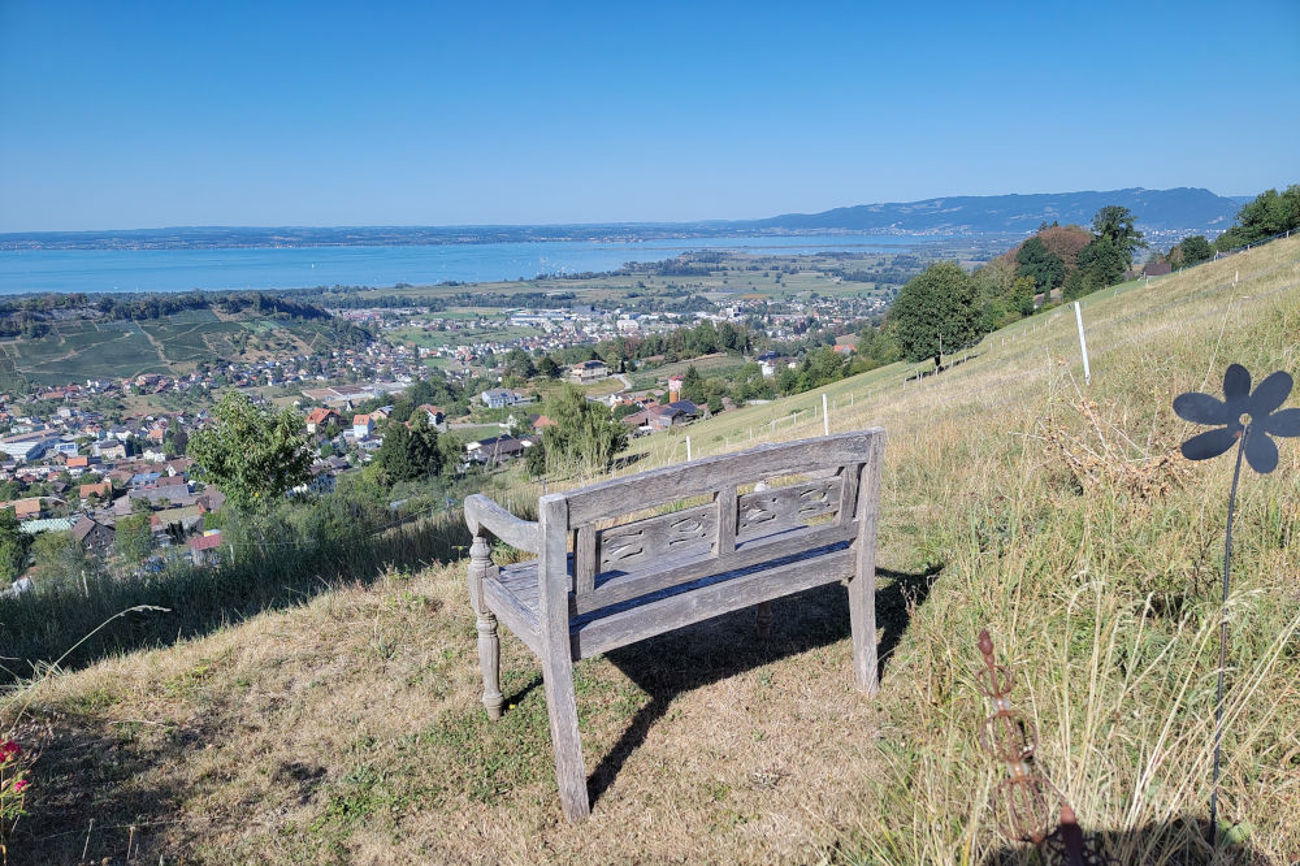 Das zum friedlichen Verweilen einladende Bänklein in der Nähe der Station zeigt die ganze prächtige Aussicht auf die Weite des Bodensees. | Foto: Annette Spitzenberg