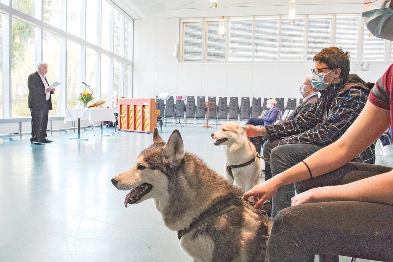Auch die Vierbeiner verfolgen den Gottesdienst aufmerksam. | Peter Leutert