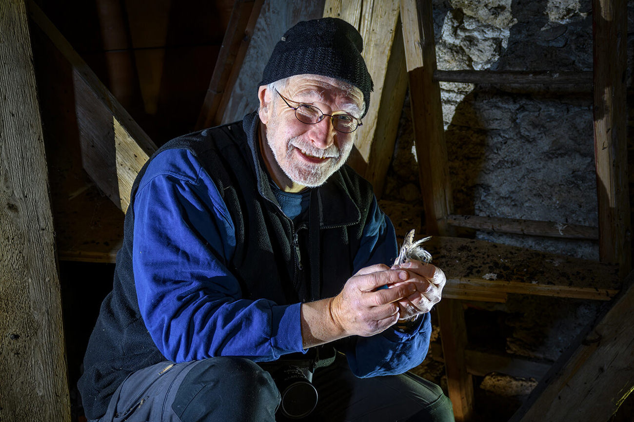 Gefundene Federn im Turm: Der Kauz scheint immer noch in der Kirche Oberglatt ein- und auszufliegen. Foto: meka
