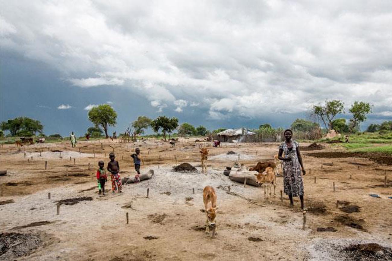 50 mal 50 Meter Land erhält jede der geflüchteten Familien von der ugandischen Regierung, um Landwirtschaft zu betreiben und eine Hütte zu bauen.