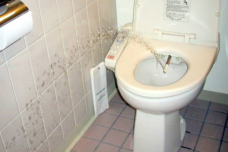 Vom Stock zum zarten Wasserstrahl
