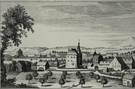 Ein Säuli essen – der perfekte Skandal