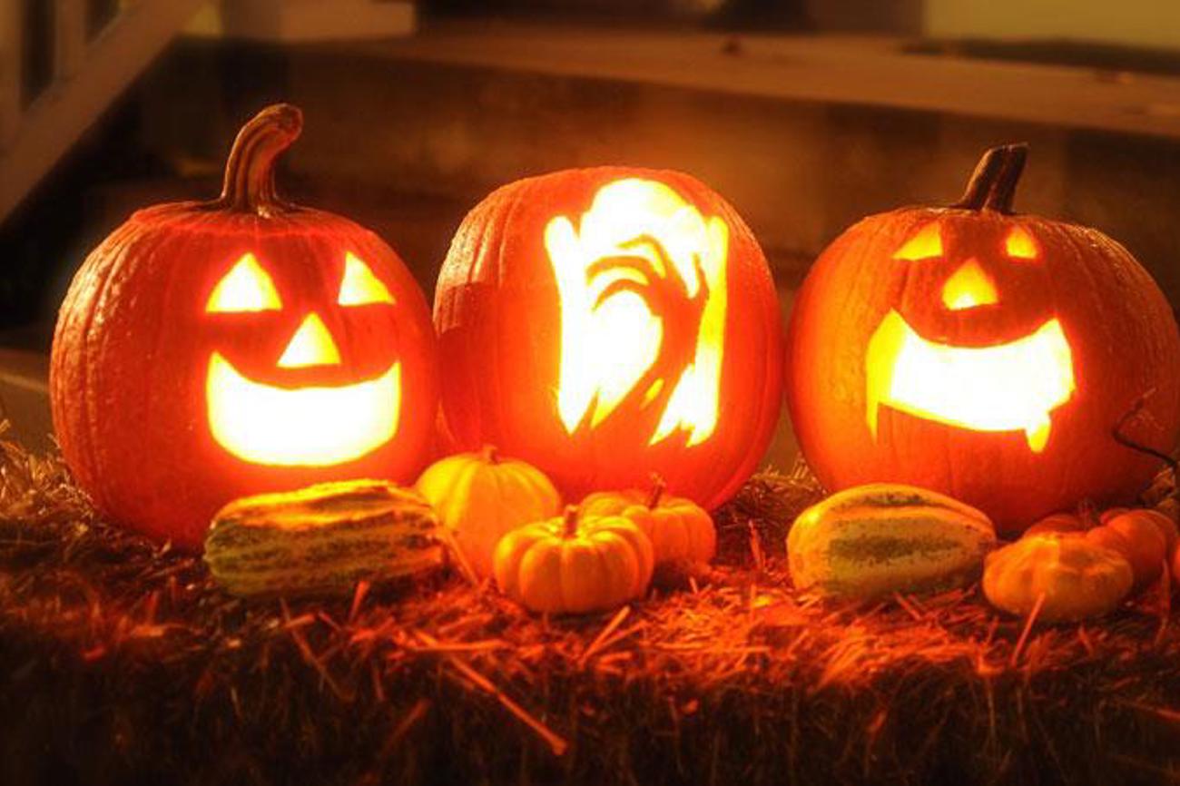 Iren brachten den Brauch in die neue Welt: Da es in den USA kaum Rüben gab, griff man auf Kürbisse zurück, um Halloween zu feiern.