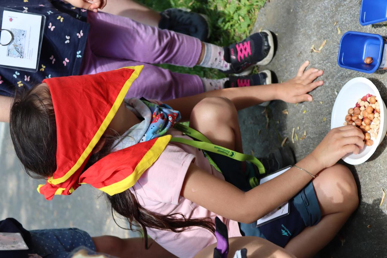 Ein herausfordender Posten: blind Körner sortieren.