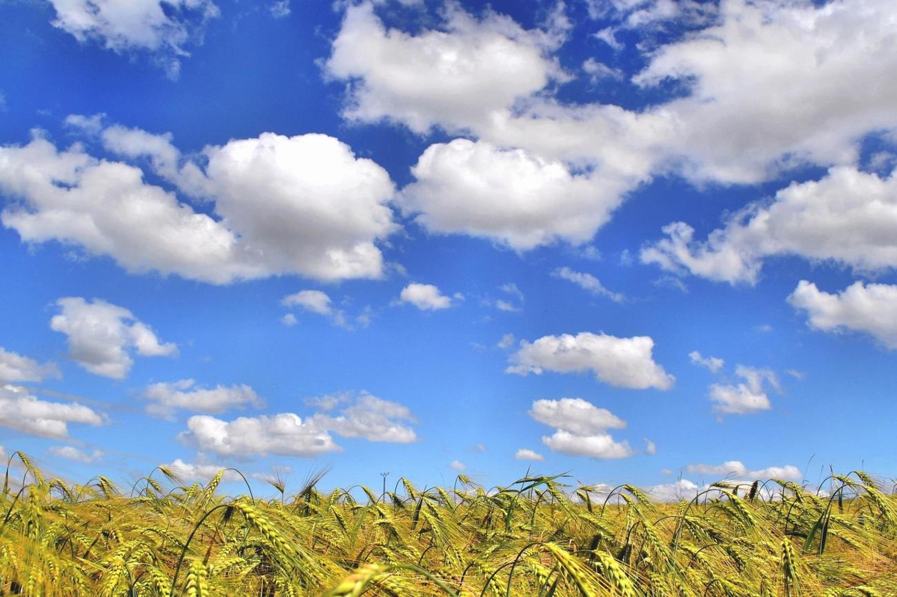 Andrea Schwarz schreibt Geschichten aus dem Leben, in denen ein Stück Himmel aufblitzt. (Bild: Andreas Hermsdorf/pixelio.de)