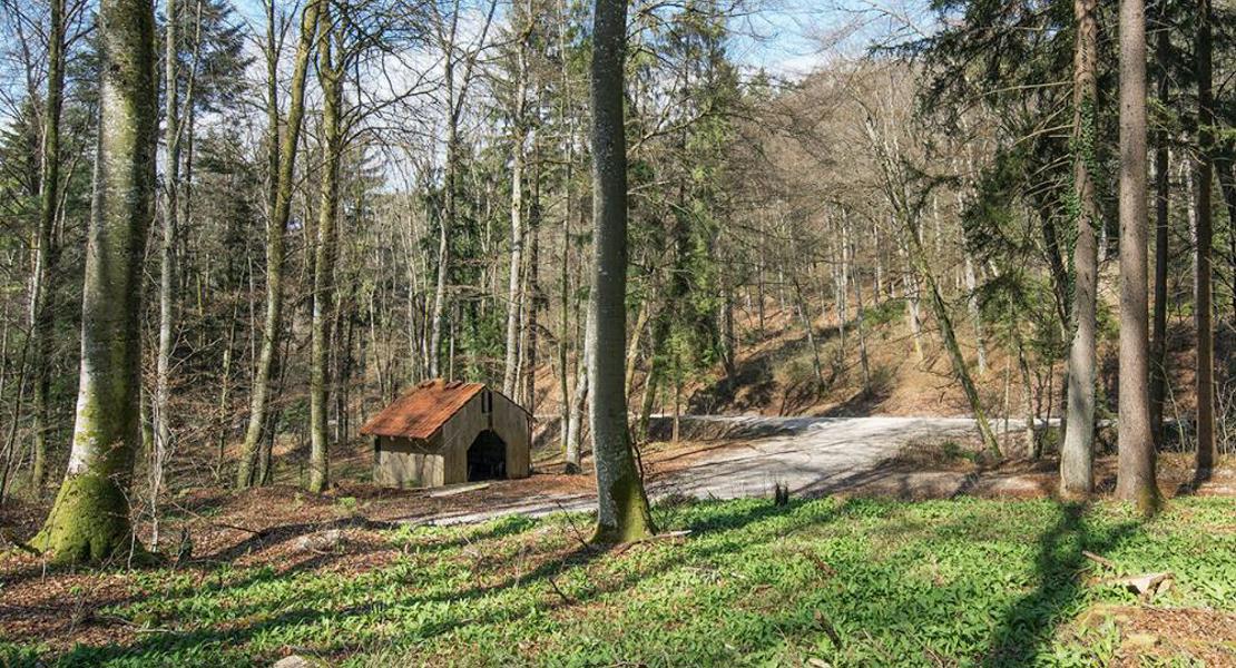 Die Täuferhütte in einer Waldlichtung. |Naturpark Schaffhausen