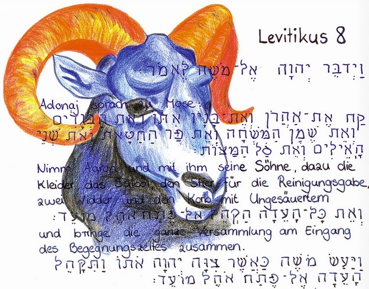Leviticus 8 aus der Coronabibel, von Hand geschrieben und illustriert. Screenshot: sd