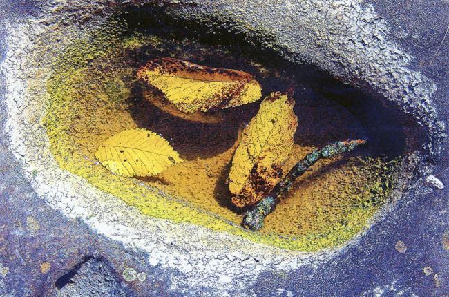 Klein Klein Waldburger Hans An Der Sitter