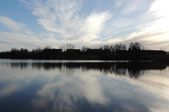 Sunier Sommer Weiher08