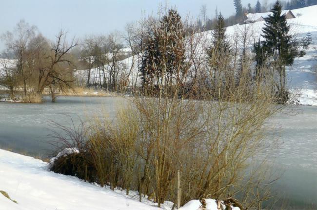 Klein Klein Sollberger See