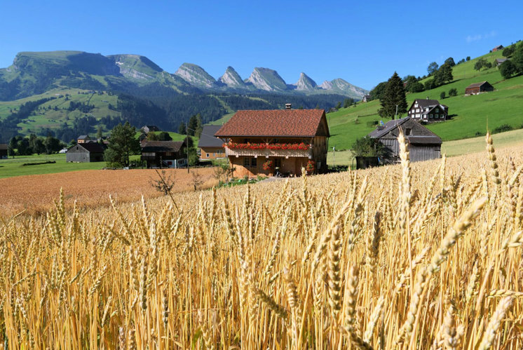 Saatgut als Volksvermögen: Bergbauern kämpfen für genetische Vielfalt