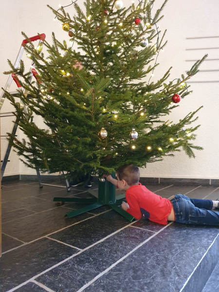 #9: Hechtsprung unter den Baum