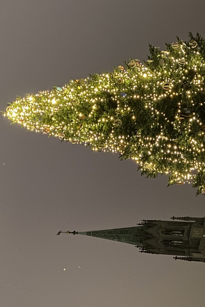 Baum und Kirchturm – Lichterglanz vor der Laurenzenkirche in St. Galllen. Foto: Katharina Hubmann-Graf, St.  Gallen