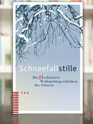 2512 Buchtipp Schneefallstille Tvz