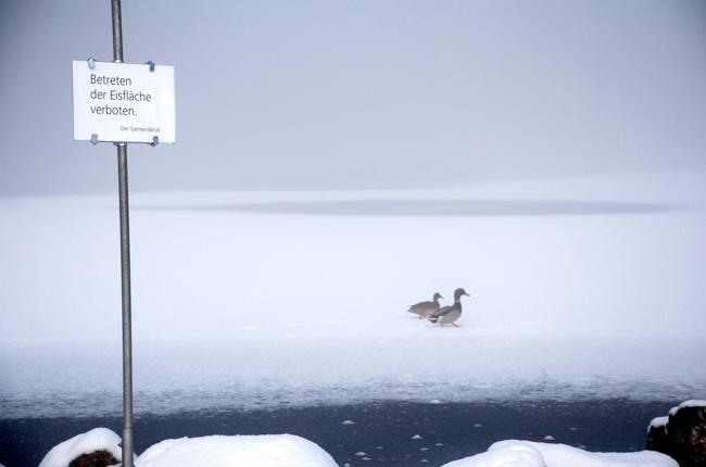 Schwendener Betreten Verboten