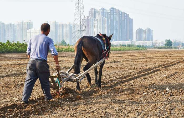 Vertreibung aus dem Sammlerparadies