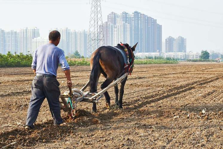 Vertreibung aus dem Sammlerparadies