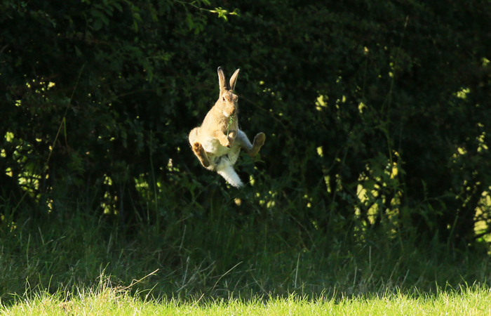 Anselm Grün: «Aus dem Grab der Resignation hinein in die Lebendigkeit des Lebens»