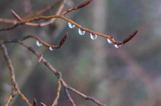 Klein Klein Gerber R1411 12134