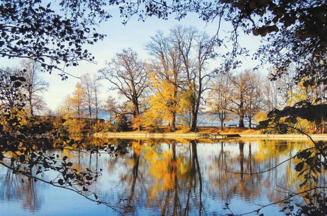 Klein Klein Waldburger Hans Buebeweiher