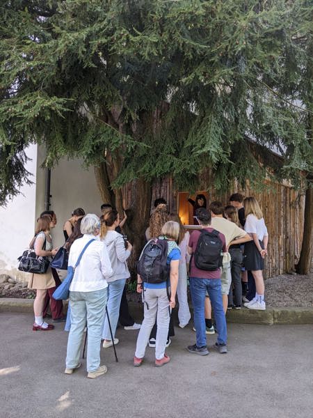 Neue Inklusen und Inklusinnen gesucht