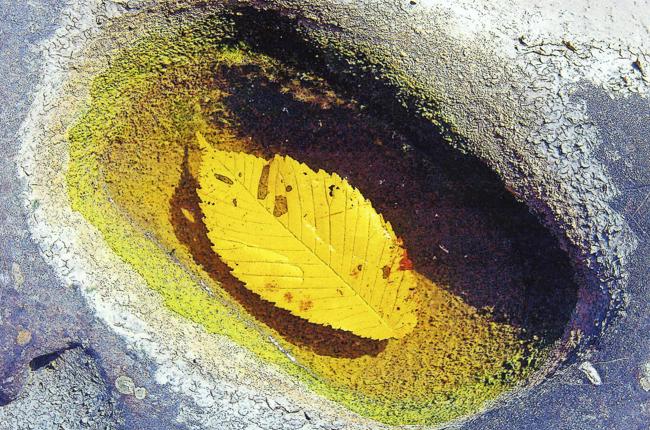 Klein Klein Waldburger Hans An Der Sitter I