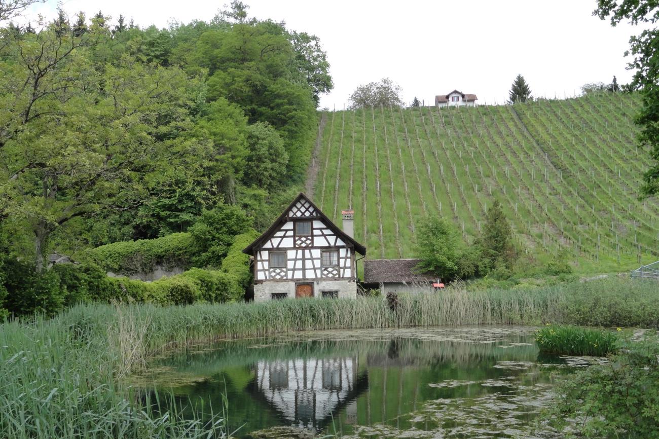 Die Quelle in der Brunnenkammer (rechtes Bild) inspirierte Walter Büchi, über das Lebenswasser nachzudenken. Ihr Wasser fliesst in den Teich auf dem Gelände der Kartause. (Bilder: wikipedia/zVg)