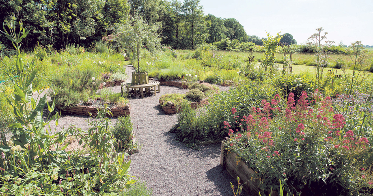 «Hildegard hat damals schon erkannt, was wir heute wissen» Kirchenbote SG