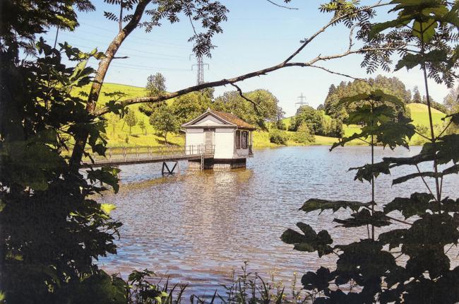 Klein Klein Waldburger Hans Weniger Weiher