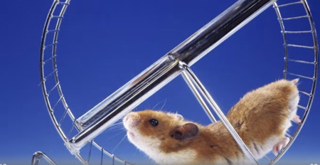 Ein ganz normaler Wahnsinns-Tag im Leben von …