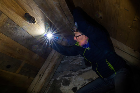 Teil 2: Doch der Kauz oder gar die Kälte?