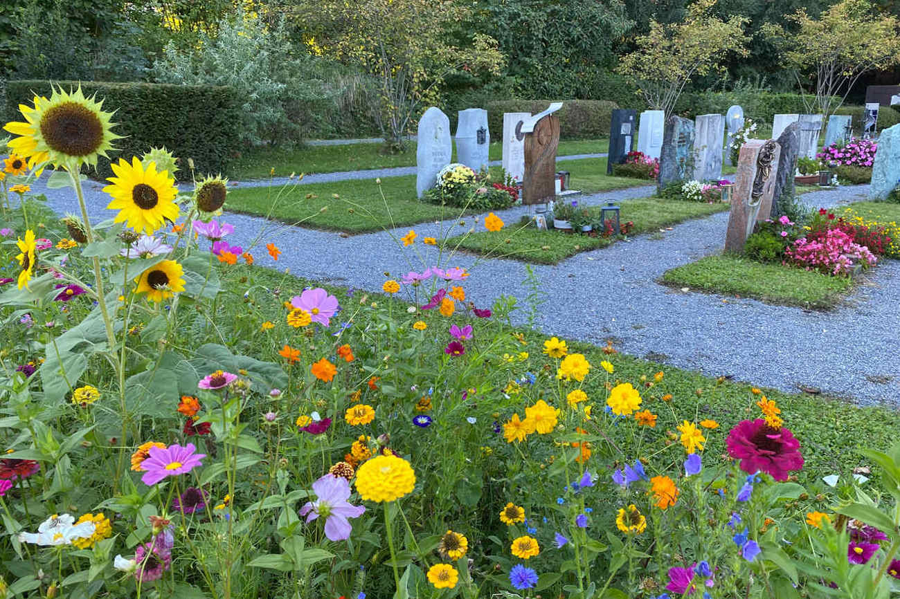 Alles zu tun für ein würdiges Begräbnis der Eltern ist ein Zeichen der Pietät, findet Pfarrerin Esther Schiess – auch wenn das dem Bibelvers zuwiderläuft. Im Bild der Friedhof von Altstätten. Foto: Andrea Kobler