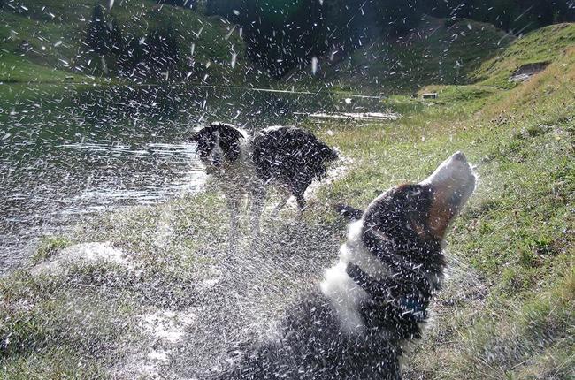 Klein Klein Gabathuler Wassernebel2529 Wg