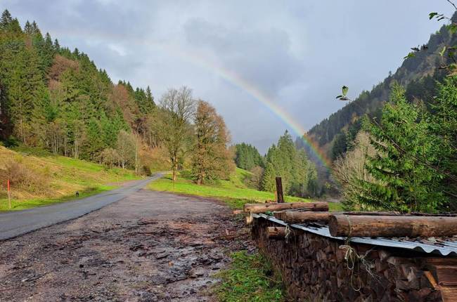 «Grundsätzlich tanke ich durch den Glauben an Gott, seine Liebe und Gnade», schreibt Marianne Beeler aus Flumserberg. Auf unzähligen Spaziergängen im Schilstal (Foto) begleitet sie nicht nur der Hund, sondern auch das Gebet. «Laufen ist für mich beten und Gottes Gegenwart und Schöpfung erleben. Ich finde diese unglaubliche innere Kraft. Ich brauche dazu nicht zwingend einen Top-Platz, sondern Zeit mit Gott und den Glauben an seine Kraft in uns, die wir uns gar nicht vorstellen können.» Foto: Marianne Beeler