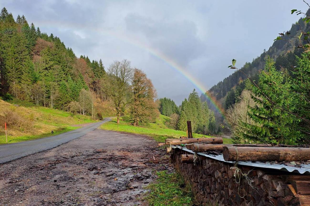 «Grundsätzlich tanke ich durch den Glauben an Gott, seine Liebe und Gnade», schreibt Marianne Beeler aus Flumserberg. Auf unzähligen Spaziergängen im Schilstal (Foto) begleitet sie nicht nur der Hund, sondern auch das Gebet. «Laufen ist für mich beten und Gottes Gegenwart und Schöpfung erleben. Ich finde diese unglaubliche innere Kraft. Ich brauche dazu nicht zwingend einen Top-Platz, sondern Zeit mit Gott und den Glauben an seine Kraft in uns, die wir uns gar nicht vorstellen können.» Foto: Marianne Beeler
