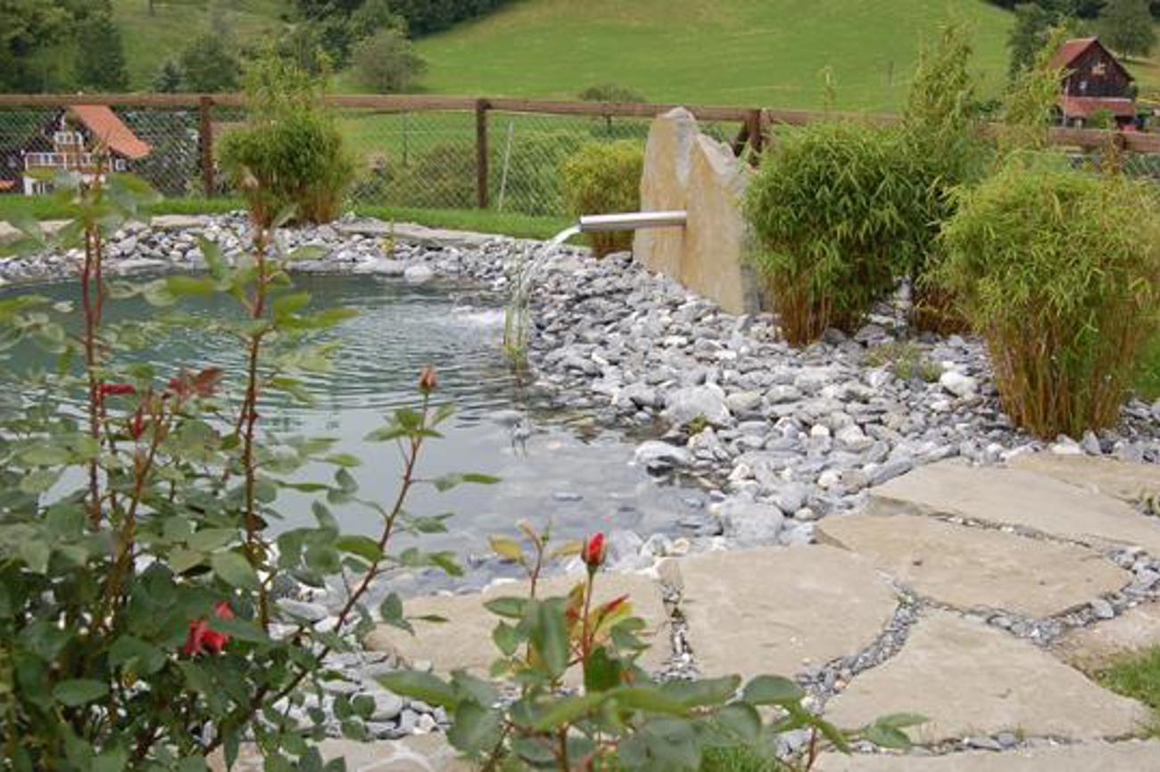 Der Teich, Anzugspunkt für Jung und Alt. Bild: iks