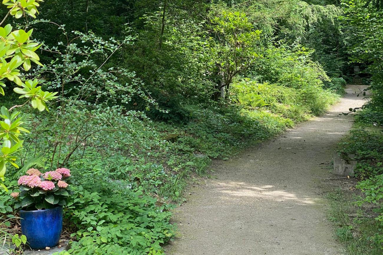 Weg durch den Waldfriedhof.