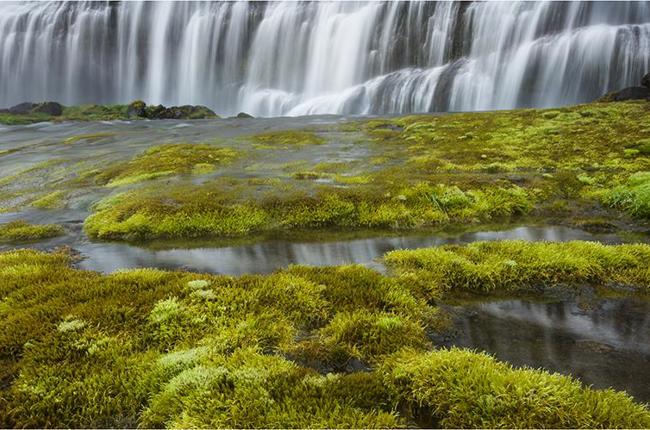 Klein Klein Baechtold Island2