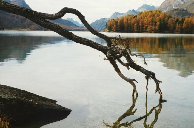 Klein Klein Zahner Sg Silsersee
